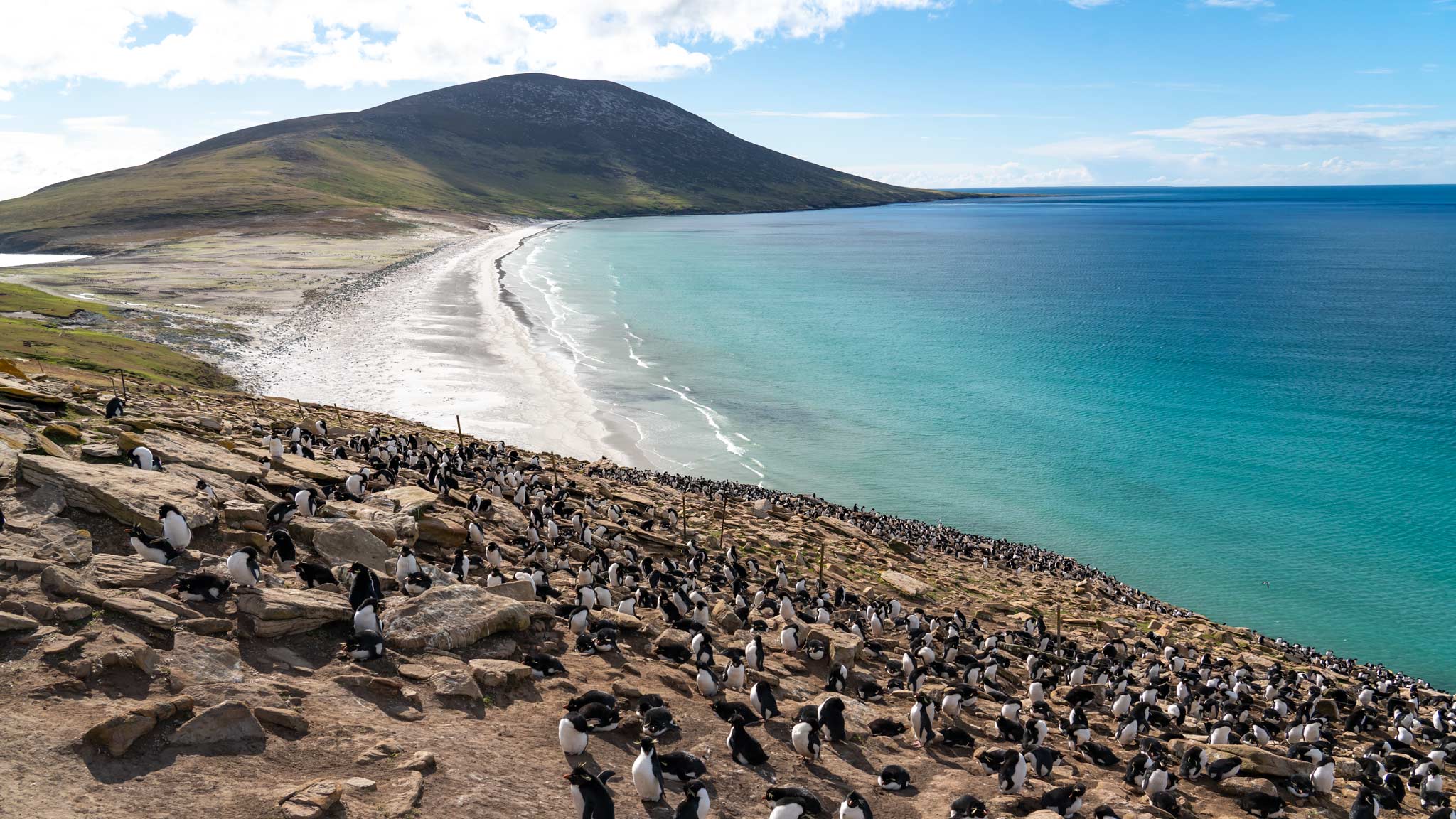 travel-agency-falkland
