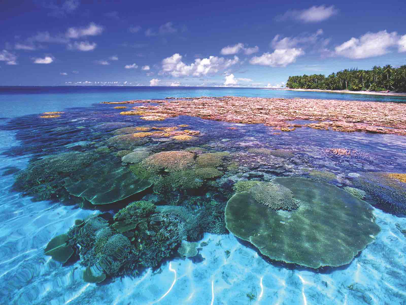 travel-agency-marshallisland