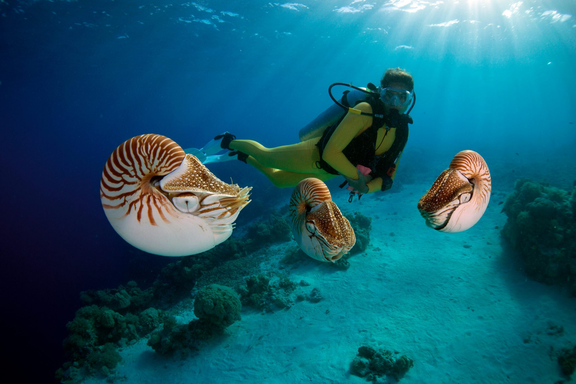 travel-agency-palau